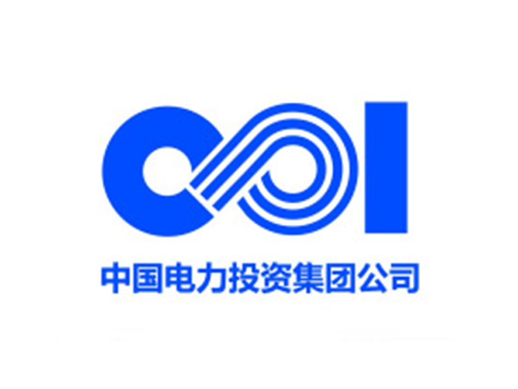 中國(guó)電力集團(tuán)投資
